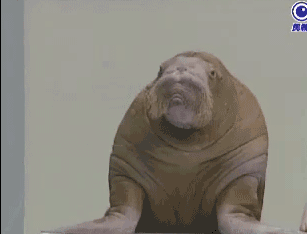 hmm very interesting