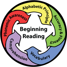 reading fluency
