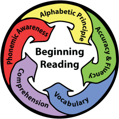 reading fluency